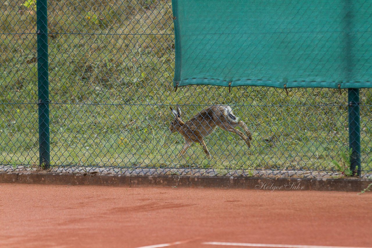 Bild 619 - Horst Schroeder Pokal 3. Tag